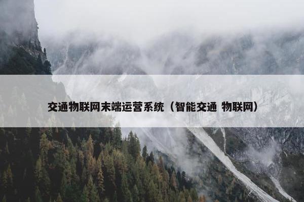 交通物联网末端运营系统（智能交通 物联网）