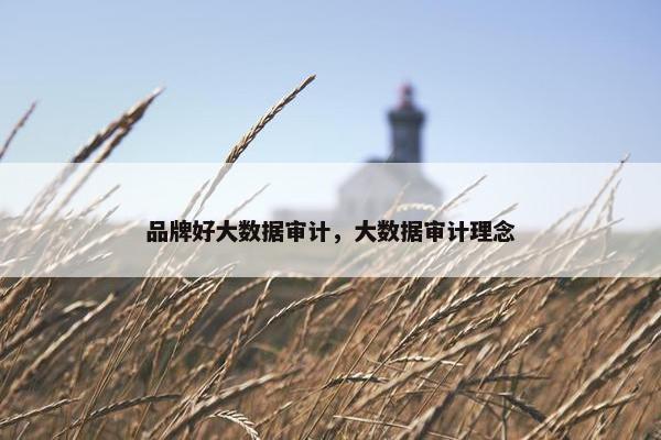 品牌好大数据审计，大数据审计理念