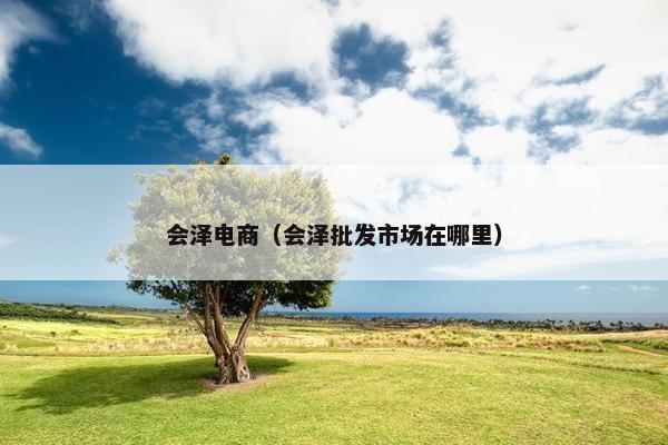 会泽电商（会泽批发市场在哪里）