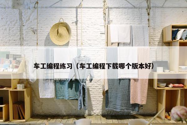 车工编程练习（车工编程下载哪个版本好）