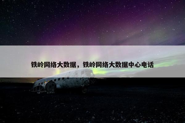 铁岭网络大数据，铁岭网络大数据中心电话