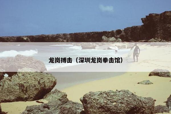 龙岗搏击（深圳龙岗拳击馆）