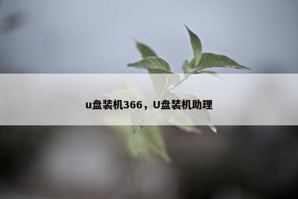 u盘装机366，U盘装机助理