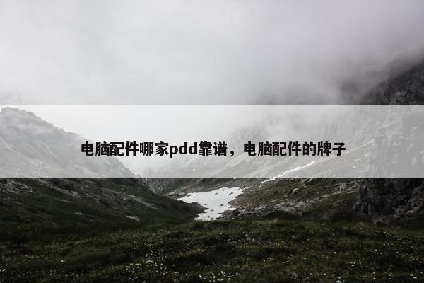 电脑配件哪家pdd靠谱，电脑配件的牌子