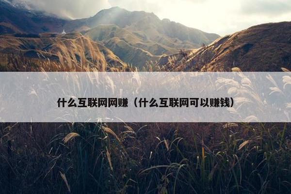 什么互联网网赚（什么互联网可以赚钱）