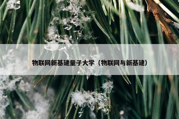 物联网新基建量子大学（物联网与新基建）