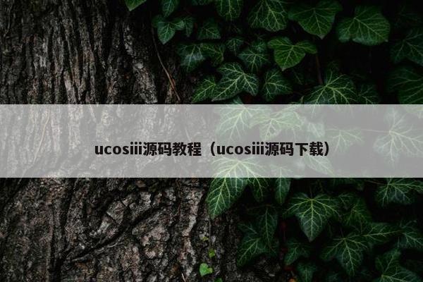 ucosiii源码教程（ucosiii源码下载）