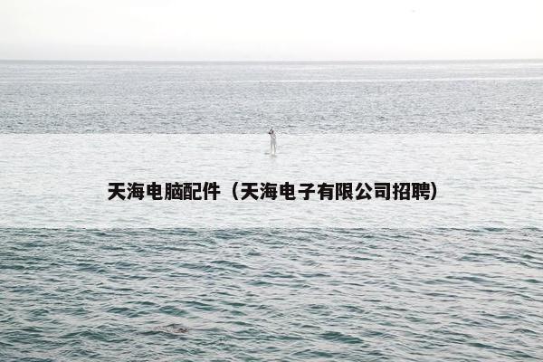 天海电脑配件（天海电子有限公司招聘）