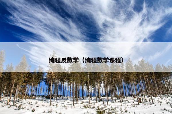 编程反数学（编程数学课程）