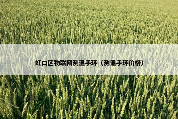 虹口区物联网测温手环（测温手环价格）