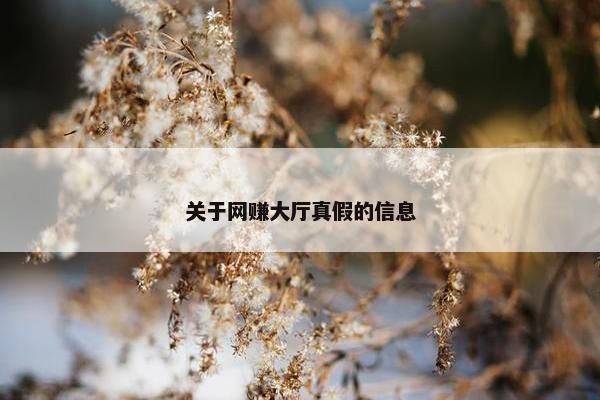 关于网赚大厅真假的信息