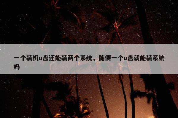 一个装机u盘还能装两个系统，随便一个u盘就能装系统吗