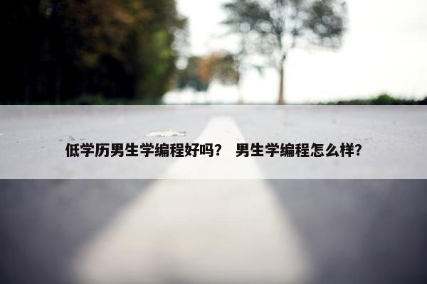 低学历男生学编程好吗？ 男生学编程怎么样？