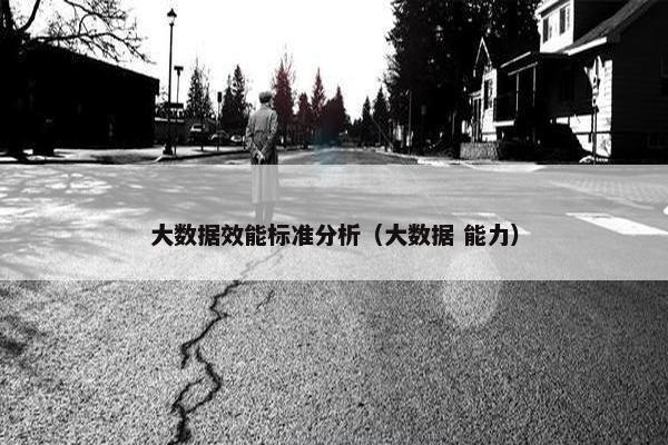 大数据效能标准分析（大数据 能力）