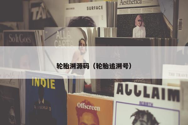 轮胎溯源码（轮胎追溯号）