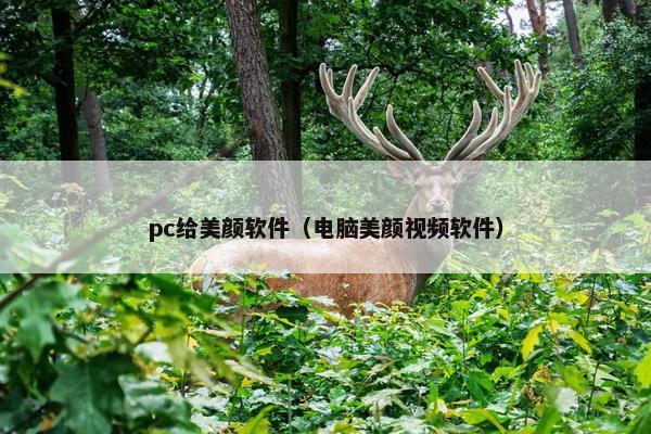 pc给美颜软件(电脑美颜视频软件) pc给美颜软件(电脑美颜视频软件)