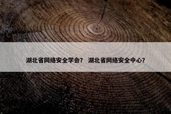 湖北省网络安全学会？ 湖北省网络安全中心？