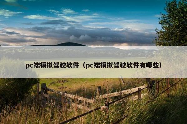 pc端模拟驾驶软件（pc端模拟驾驶软件有哪些）