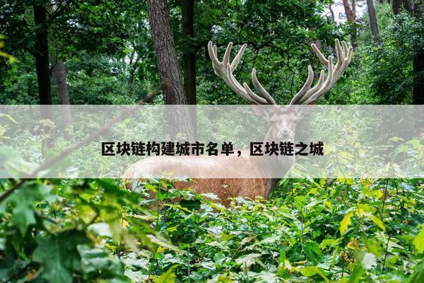 区块链构建城市名单，区块链之城