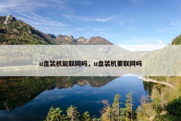 u盘装机能联网吗，u盘装机要联网吗