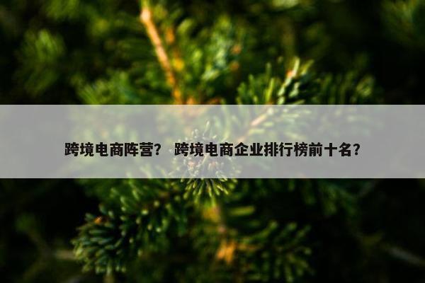 跨境电商阵营？ 跨境电商企业排行榜前十名？