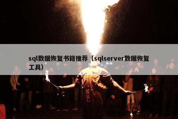sql数据恢复书籍推荐（sqlserver数据恢复工具）