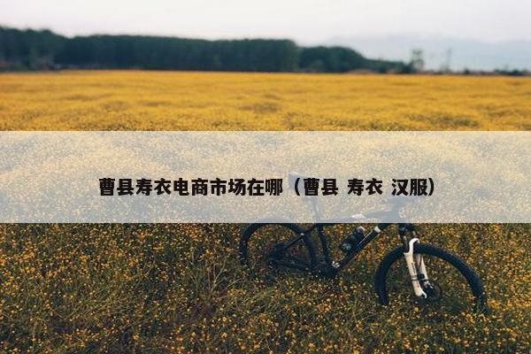 曹县寿衣电商市场在哪（曹县 寿衣 汉服）