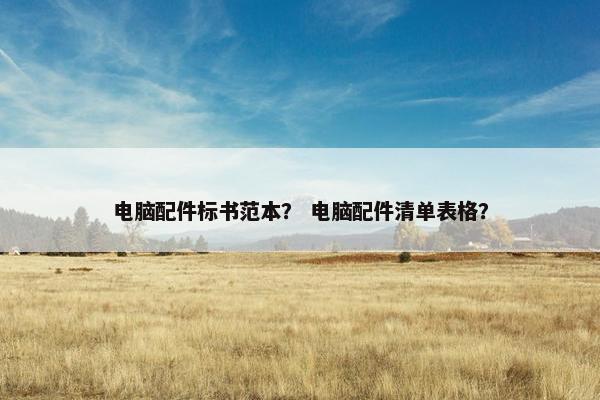 电脑配件标书范本？ 电脑配件清单表格？