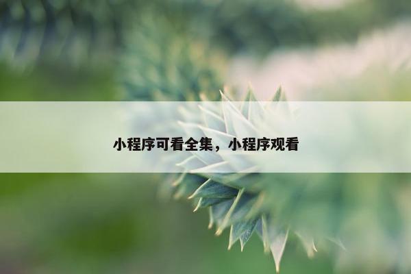 小程序可看全集，小程序观看