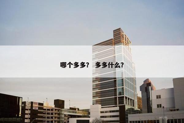 哪个多多？ 多多什么？