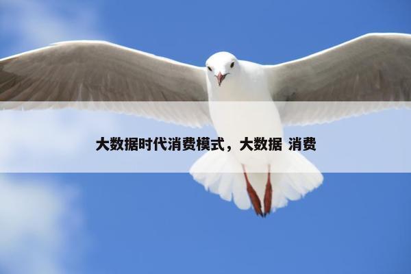 大数据时代消费模式，大数据 消费
