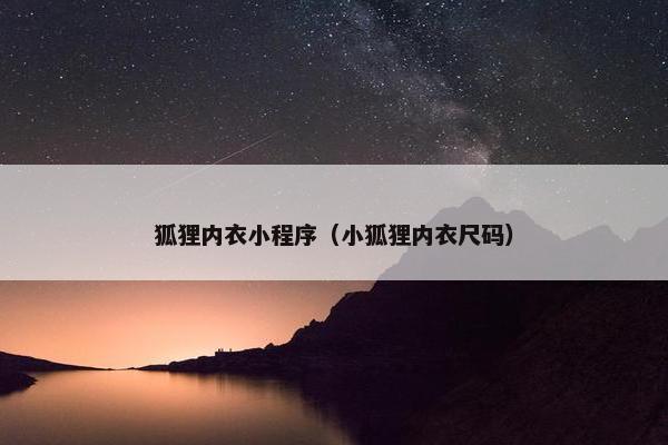 狐狸内衣小程序（小狐狸内衣尺码）