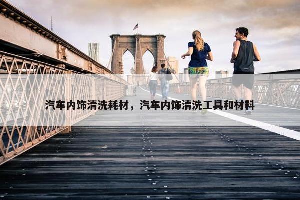 汽车内饰清洗耗材，汽车内饰清洗工具和材料