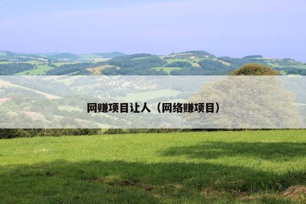 网赚项目让人（网络赚项目）