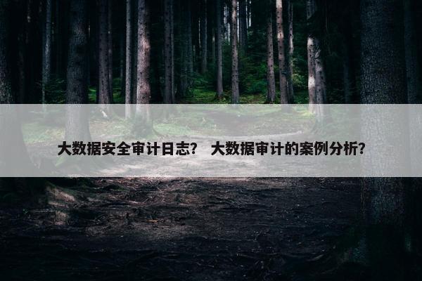 大数据安全审计日志？ 大数据审计的案例分析？