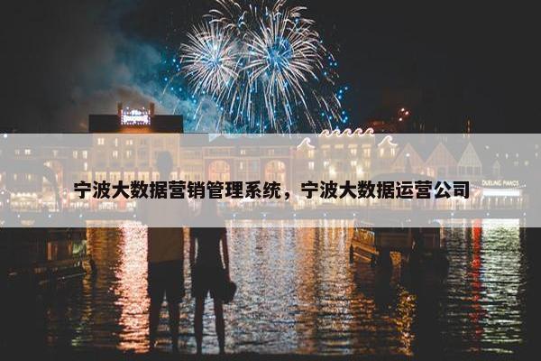 宁波大数据营销管理系统，宁波大数据运营公司