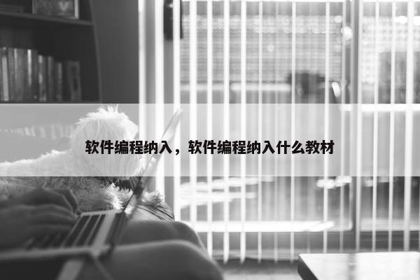 软件编程纳入，软件编程纳入什么教材