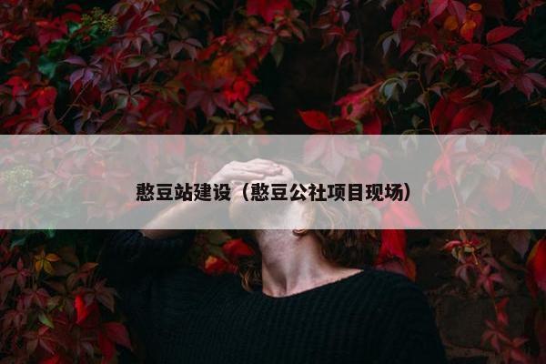 憨豆站建设（憨豆公社项目现场）