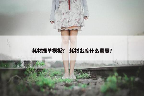 耗材提单模板？ 耗材出库什么意思？