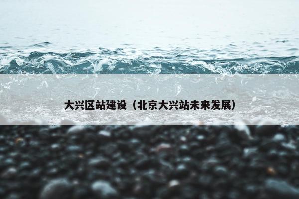 大兴区站建设（北京大兴站未来发展）