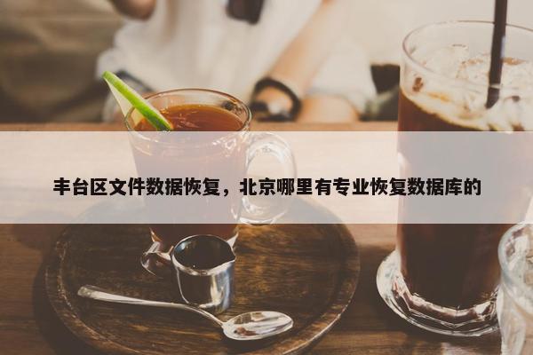 丰台区文件数据恢复，北京哪里有专业恢复数据库的