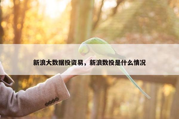 新浪大数据投资易，新浪数投是什么情况