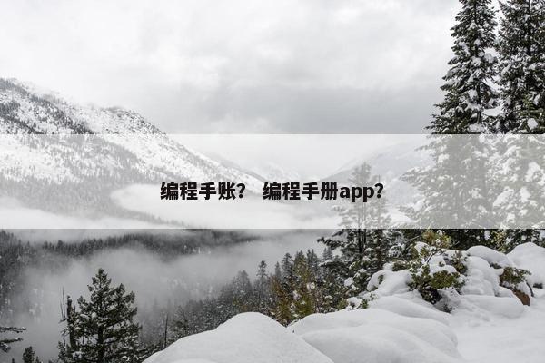 编程手账？ 编程手册app？