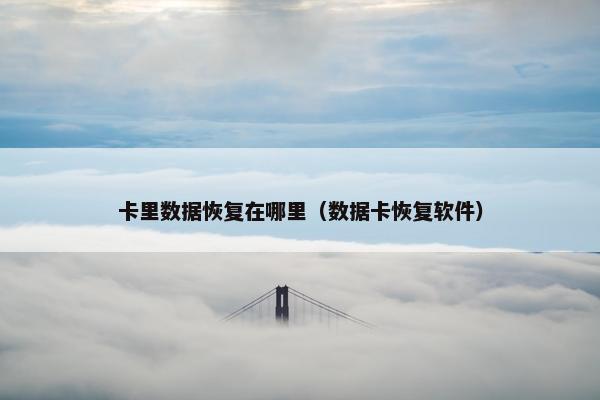 卡里数据恢复在哪里（数据卡恢复软件）