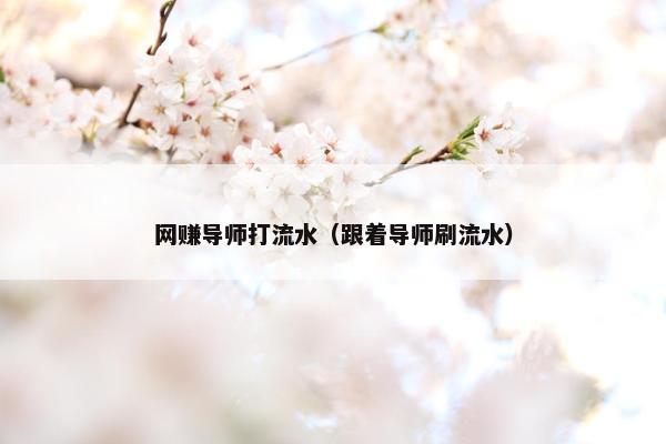 网赚导师打流水（跟着导师刷流水）