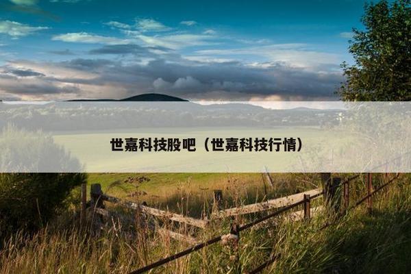 世嘉科技股吧（世嘉科技行情）