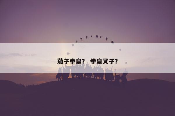 茄子拳皇？ 拳皇叉子？