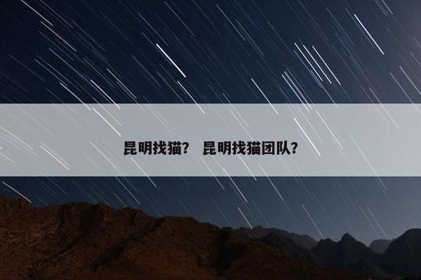 昆明找猫？ 昆明找猫团队？