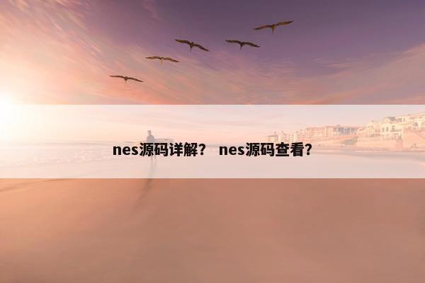 nes源码详解？ nes源码查看？
