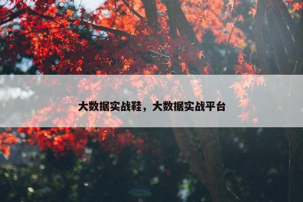 大数据实战鞋，大数据实战平台
